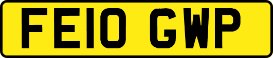 FE10GWP
