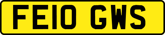 FE10GWS