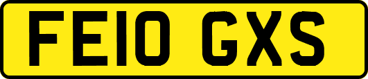 FE10GXS