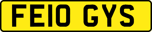 FE10GYS