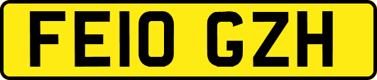 FE10GZH