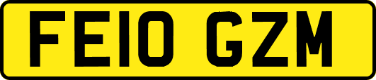 FE10GZM