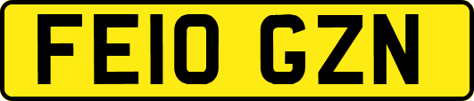 FE10GZN