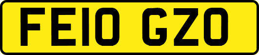 FE10GZO