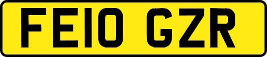FE10GZR