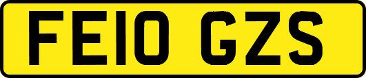 FE10GZS