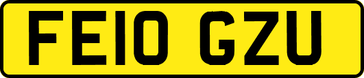 FE10GZU