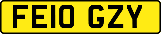 FE10GZY