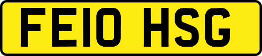 FE10HSG