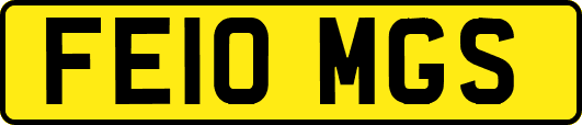FE10MGS