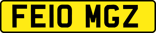 FE10MGZ