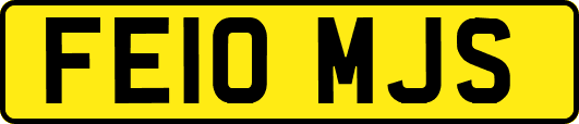 FE10MJS