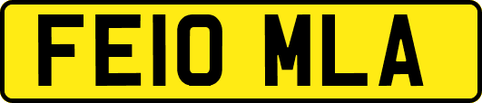 FE10MLA
