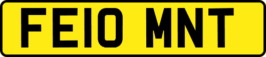 FE10MNT