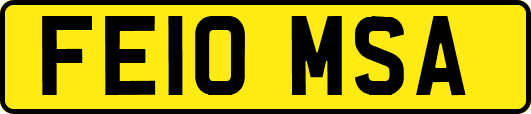 FE10MSA
