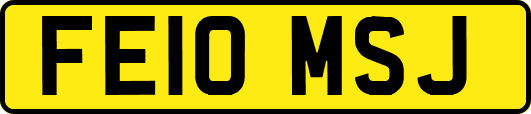FE10MSJ