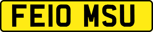 FE10MSU