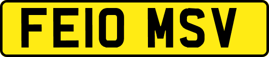 FE10MSV