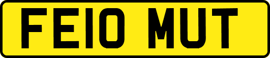 FE10MUT