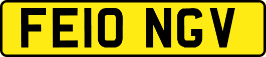 FE10NGV