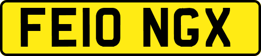 FE10NGX