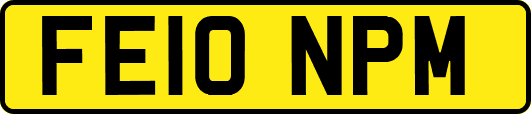FE10NPM