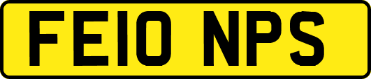 FE10NPS