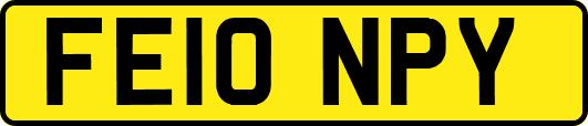 FE10NPY