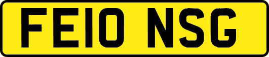 FE10NSG