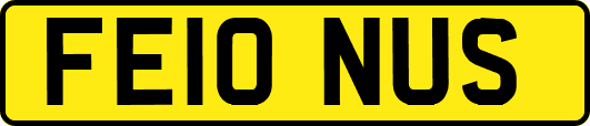 FE10NUS