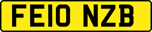 FE10NZB