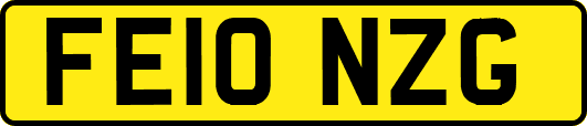 FE10NZG
