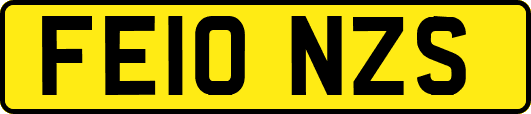 FE10NZS