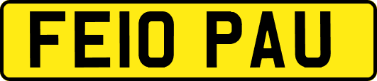 FE10PAU