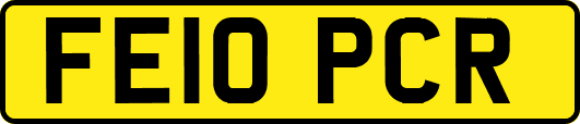 FE10PCR