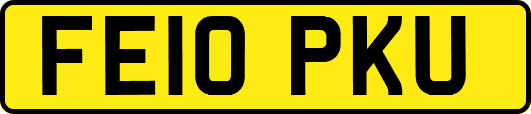 FE10PKU