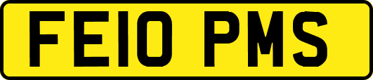 FE10PMS