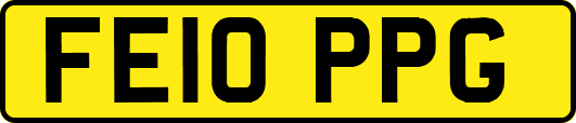 FE10PPG