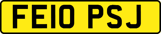 FE10PSJ