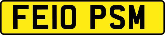 FE10PSM