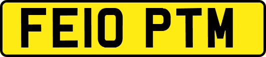 FE10PTM