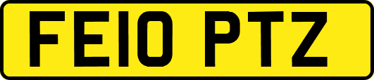 FE10PTZ
