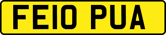 FE10PUA