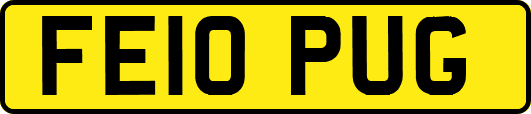 FE10PUG