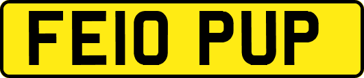 FE10PUP