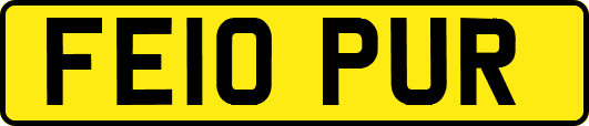 FE10PUR