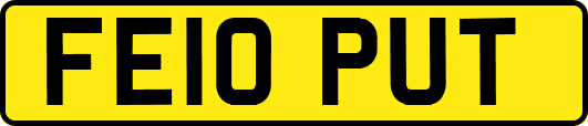 FE10PUT