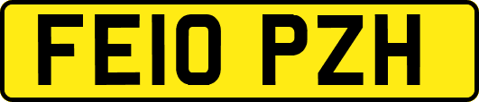 FE10PZH