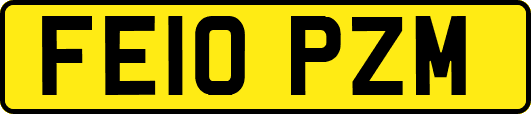 FE10PZM
