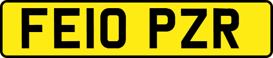 FE10PZR